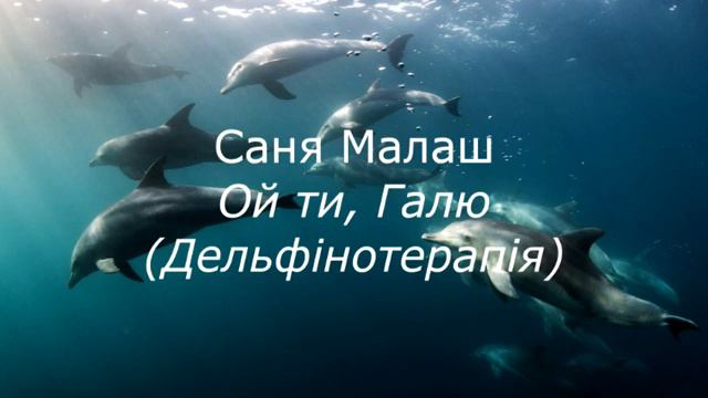 Саня Малаш - Ой ти Галю (Дельфінотерапія) смотреть онлайн