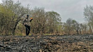 Пасхальный коп#Minelab X-terra Pro#ПРИМОРСКИЙ КРАЙ#