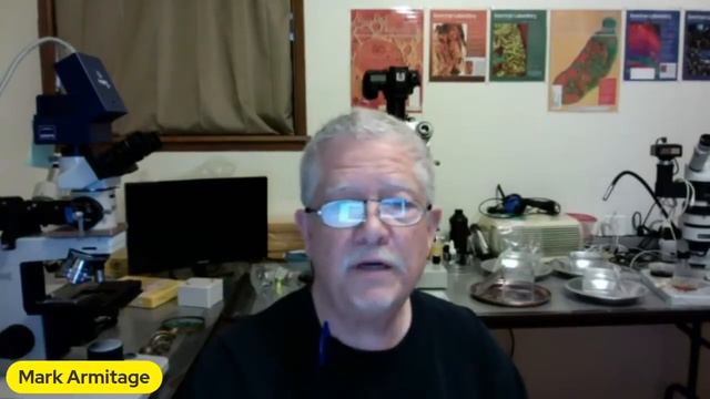 Amazing Evidence for Young Earth Creation, Design, Separate Ancestry and Noah's Flood смотреть онлайн