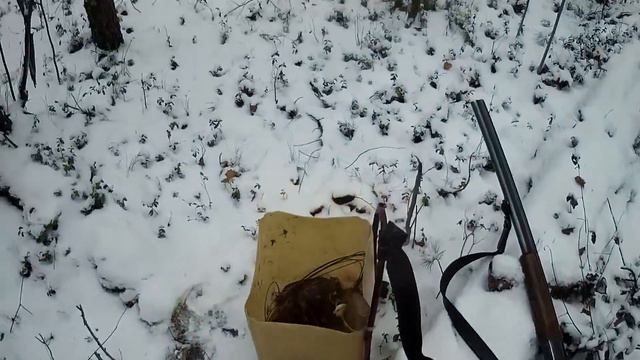 Открытие сезона по соболю, не плохое начало смотреть онлайн