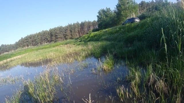 Ловля дафнии 11.06.20 г. смотреть онлайн