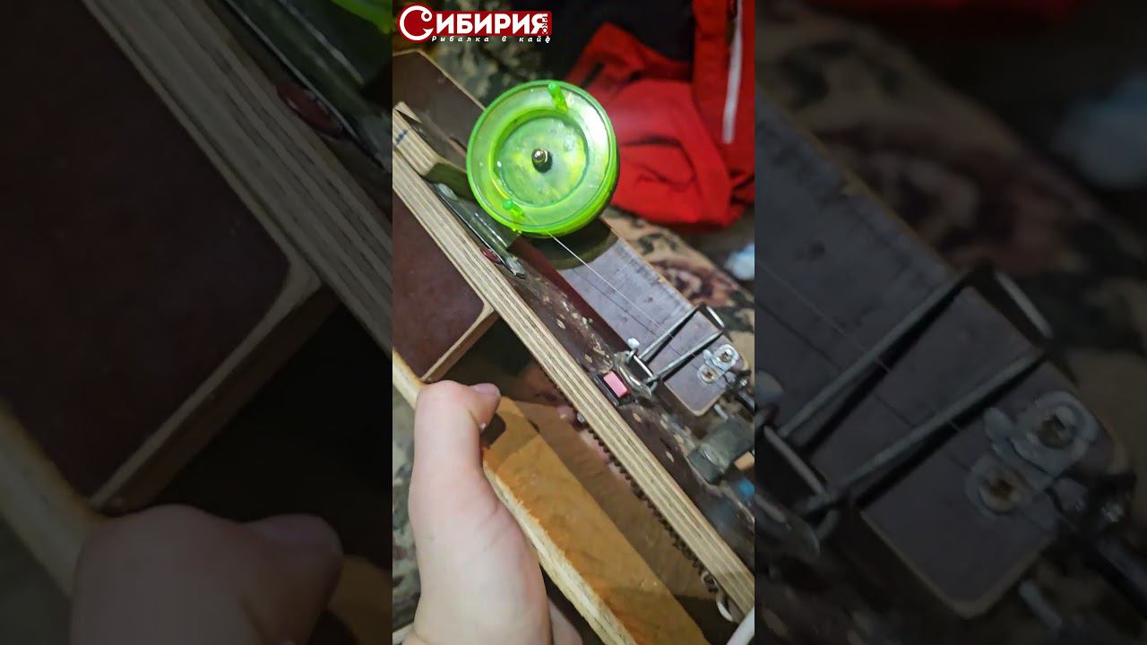 РЫБАЛКА НА ЛЕЖАЧЕГО! САМОПОДСЕКАЮЩАЯ УДОЧКА ИЗ АВТОМОБИЛЬНОГО ЗАМКА! #рыбалка #удочка #shorts смотреть онлайн