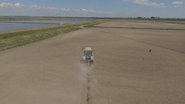 Посев риса смотреть онлайн