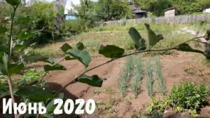 НЕкогда заброшенная дача.  БЫЛО/ СТАЛО). Итоги года.