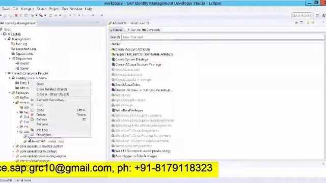 SAP IdM 8 0 AS JAVA Repository Configuration and Intial Load смотреть онлайн