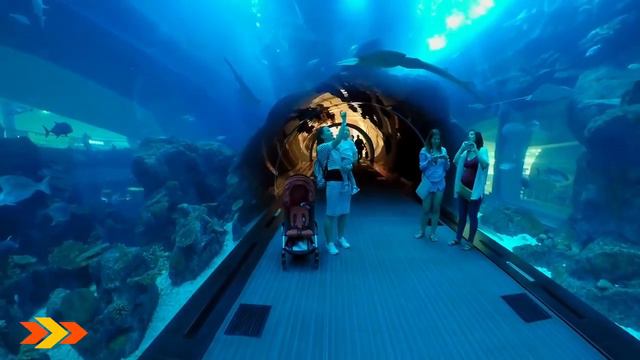 ОАЭ Мега круто! Гигантский аквариум в Дубай Молл The Dubai Mall смотреть онлайн