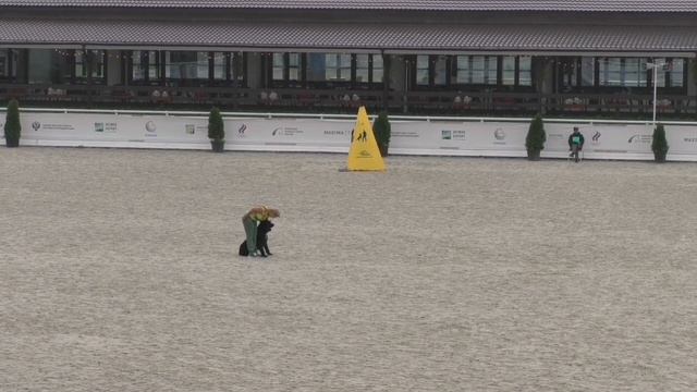 DogOlimp 2023. СТАР ДРИМ АЙКИДО. В85 смотреть онлайн