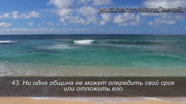 [Прекрасное чтение Корана] Идрис Абкар - Сура Муминун (30-56) смотреть онлайн