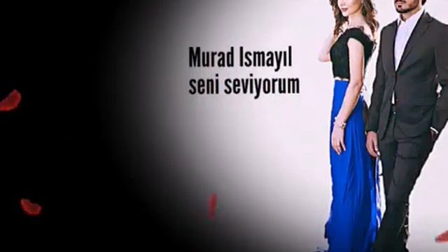 Seni Seviyorum