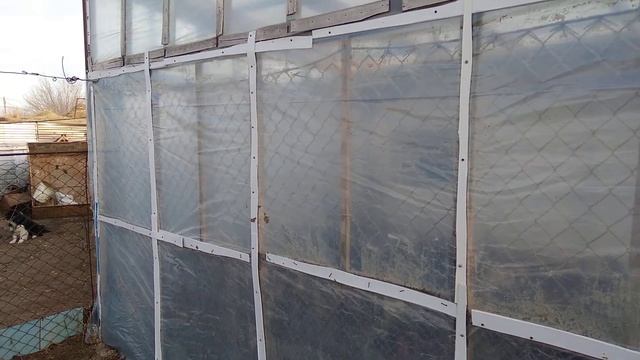 расшыряю выгул для кур