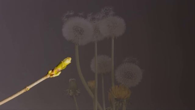 Муж отказался от парализованной жены, сбросив опеку на ее родителей. А спустя год он вернулся и… смотреть онлайн