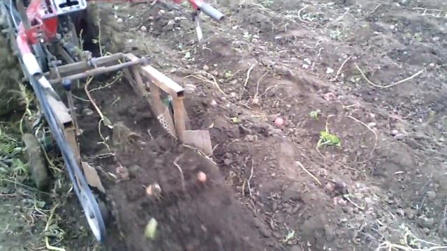 Копка картошки самодельной транспортерной картофелекопалкой смотреть онлайн
