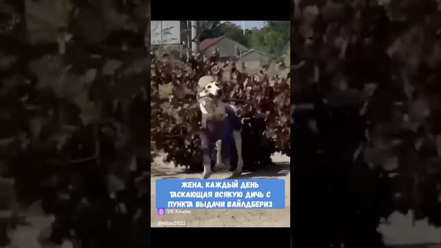 было бы страшно .не будь так смешно