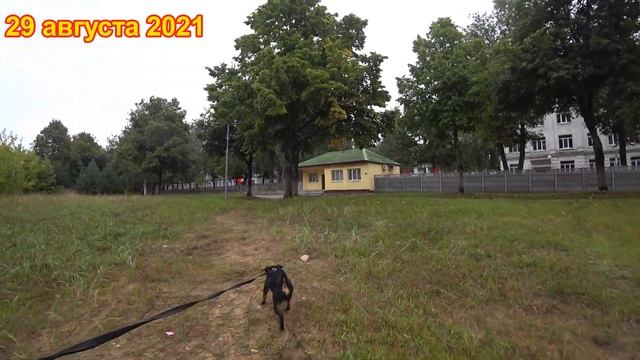 Учебка Печи, Жыкыжанов Санат, в\ч 39864 и Турдиев Нематтилло в\ч 02375. смотреть онлайн