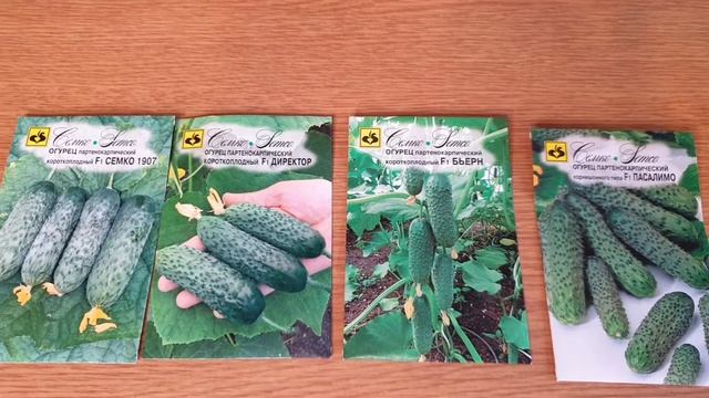 Семена СЕМКО. Лучшие урожайные сорта огурцов для теплиц и грунта. смотреть онлайн
