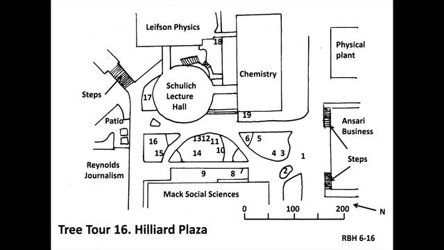Tree Tour 16- Hilliard Plaza смотреть онлайн