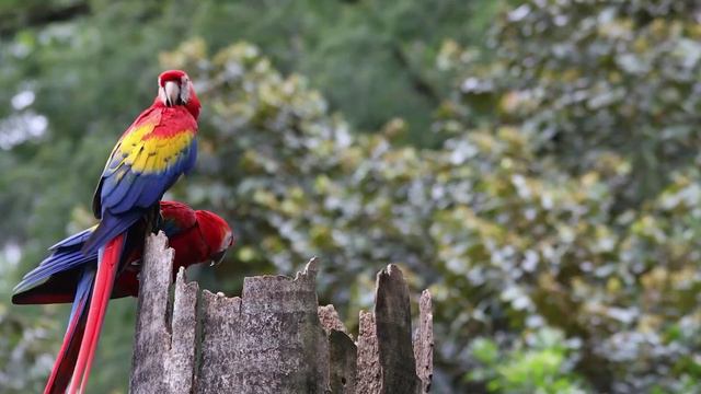 Доброго утра и хорошего дня ВСЕМ! смотреть онлайн