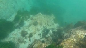 Приморский край, Триозерье, бухта Спокойная, база Голубая лагуна