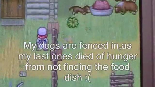 Shepherd's Crossing 2 DS-My Farm смотреть онлайн