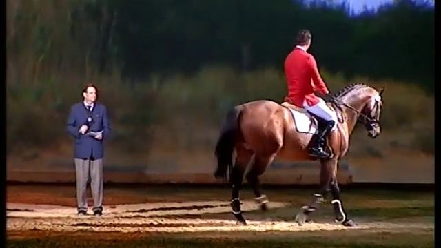 Franke Sloothaak " Stallion-Show Cyrano de Bergerac " смотреть онлайн