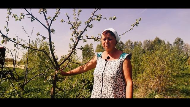 САДЫ НА СЕВЕРЕ смотреть онлайн