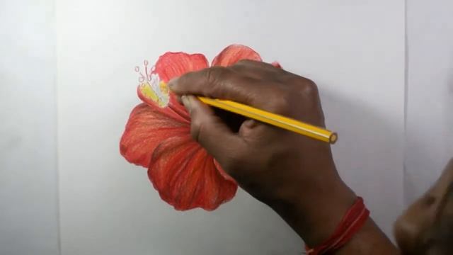 How To Draw Hibiscus Flower | Colored Pencil | Flower Drawing | Easy Step By Step | Art Video смотреть онлайн