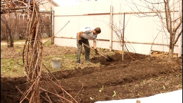 Дача Сад огород смотреть онлайн