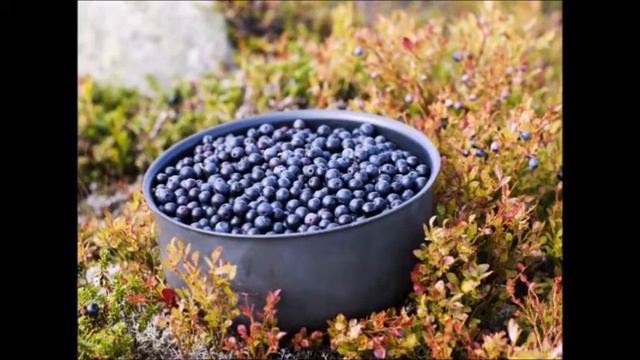 У МЕНЯ СЕГОДНЯ НА СТОЛЕ. ЯГОДЫ смотреть онлайн