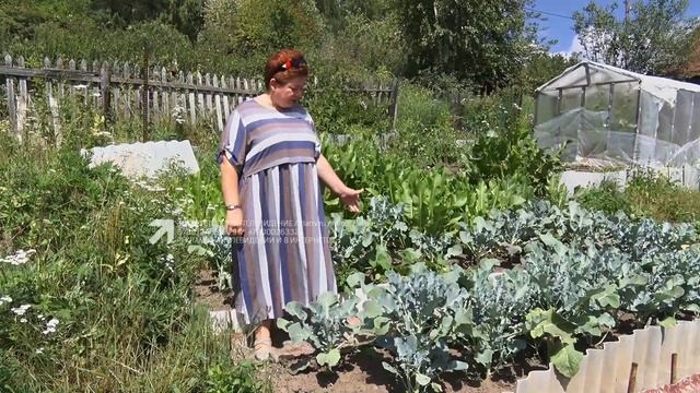 Место силы и общения. Златоустовские садоводы отмечают День дачника смотреть онлайн