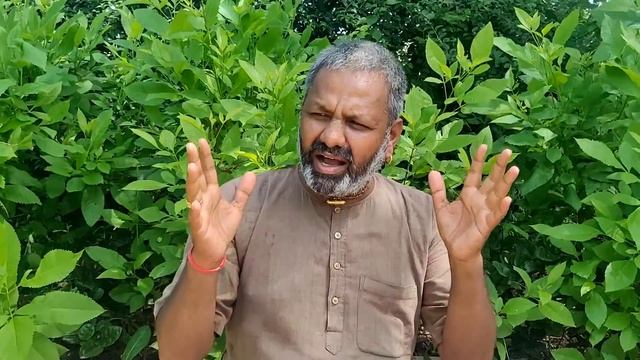 Ягья для здоровья Дханвантари - Благотворительная смотреть онлайн