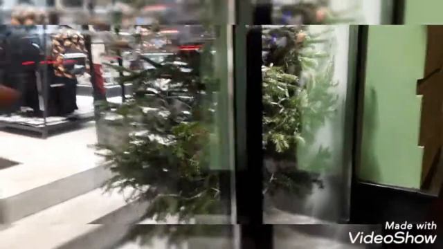 ГЛАВНАЯ ЁЛКА СТРАНЫ🎄САМАЯ КРАСИВАЯ ЁЛКА🎄 смотреть онлайн
