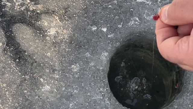 Классическая ловля подлещика зимой. смотреть онлайн