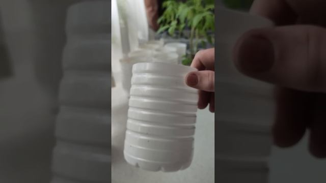 Как пригодились стаканчики от молочных бутылок. смотреть онлайн