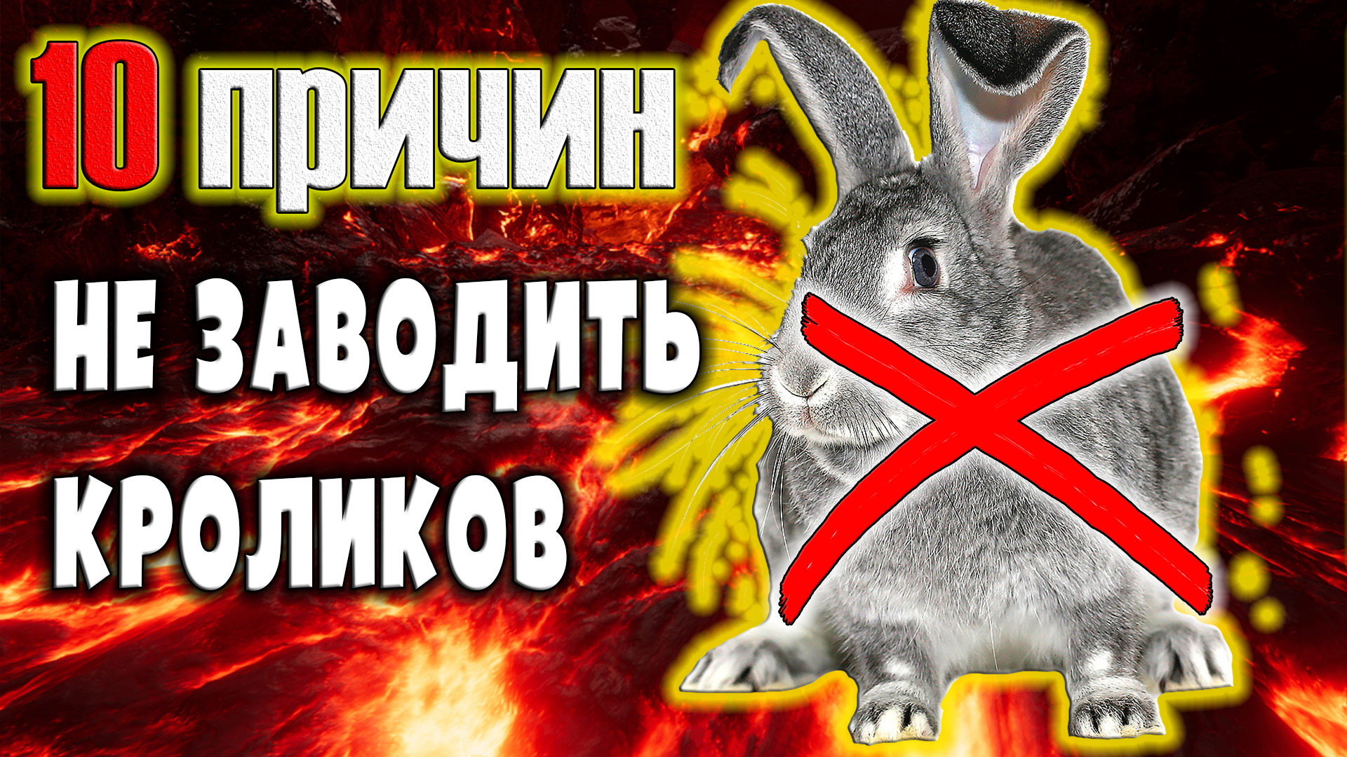 10 причин не заводить кроликов смотреть онлайн