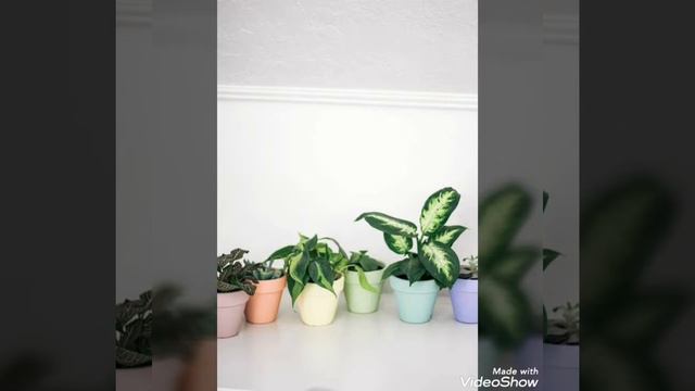 Amazing plant pot decor ideas | DIY Planter Decor Ideas | planter Pots Decorations смотреть онлайн
