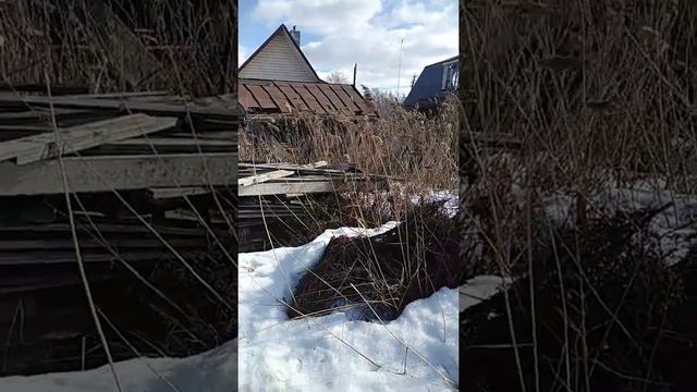 Наша дача на болоте. Часть 1. смотреть онлайн