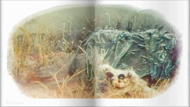 Песня Лемура и Носорога.avi смотреть онлайн