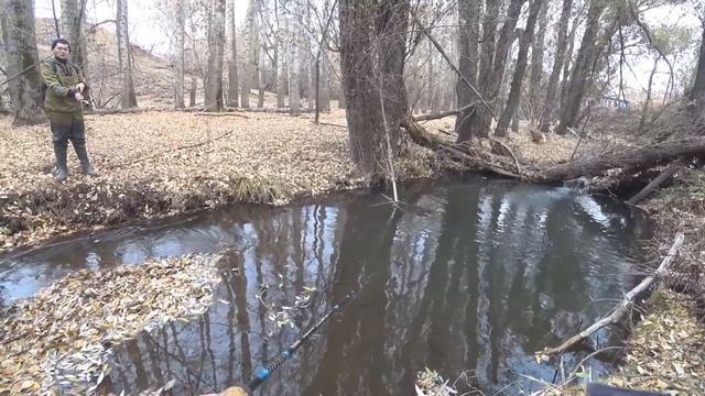 Дикая форель на лесном ручье. Осенняя рыбалка на спиннинг смотреть онлайн
