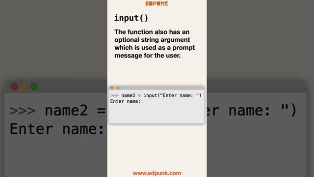 [Day 19] How to Accept User Input in Python | Learn Python | Light Mode #100daysofpython смотреть онлайн