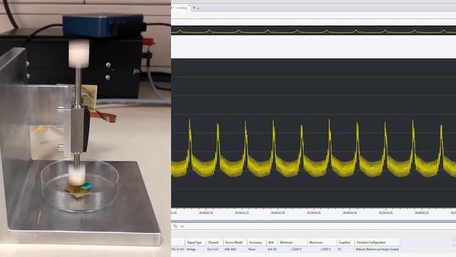 Restoring-Tactile-Sensation смотреть онлайн