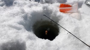 Ловля ленка зимой.Снасть на ленка.