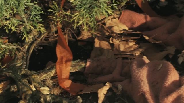 Trick 'r Treat: The Day After смотреть онлайн
