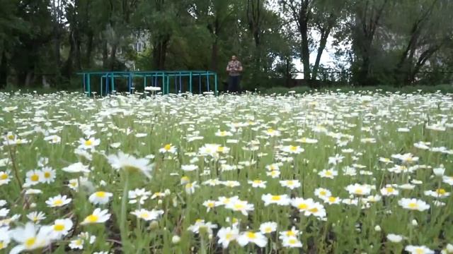 Вариант тренировки на улице для мужчин смотреть онлайн