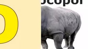 Учим алфавит для самых маленьких   Животные