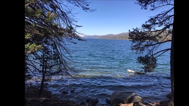 California - Mushrooms  ??? / Грибы в Калифорнии