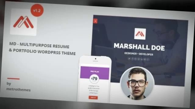 MD – Multipurpose Portfolio WordPress Theme 2 смотреть онлайн