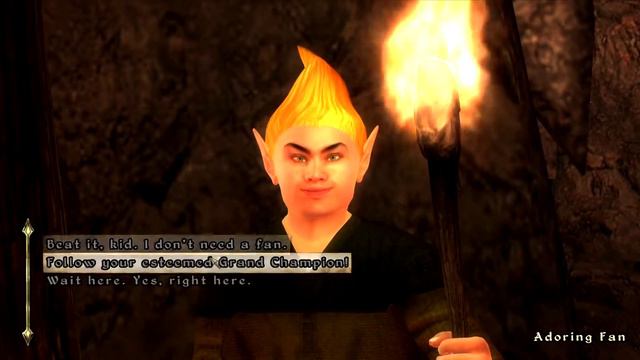 Day 238 - Killing Adoring Fan Every Day Until Elder Scrolls Skyblivion is Released смотреть онлайн
