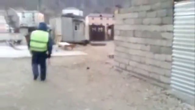 Осел похитил гаишника Donkey stole the traffic inspector 2 смотреть онлайн