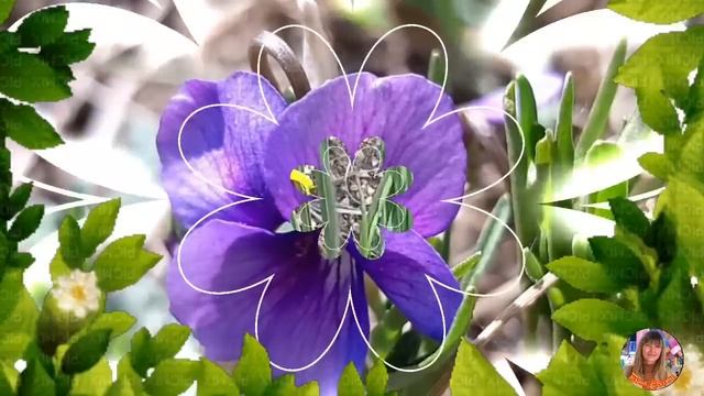 С первым днём лета! смотреть онлайн