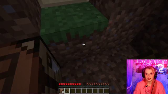 ВПЕРВЫЕ В ЖИЗНИ ИГРАЮ В MINECRAFT?!! НАШЛА И ПОТЕРЯЛА НОВОГО ДРУГА.. смотреть онлайн
